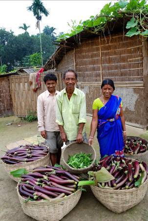 West Bengal, India - Small farmers show off their yield