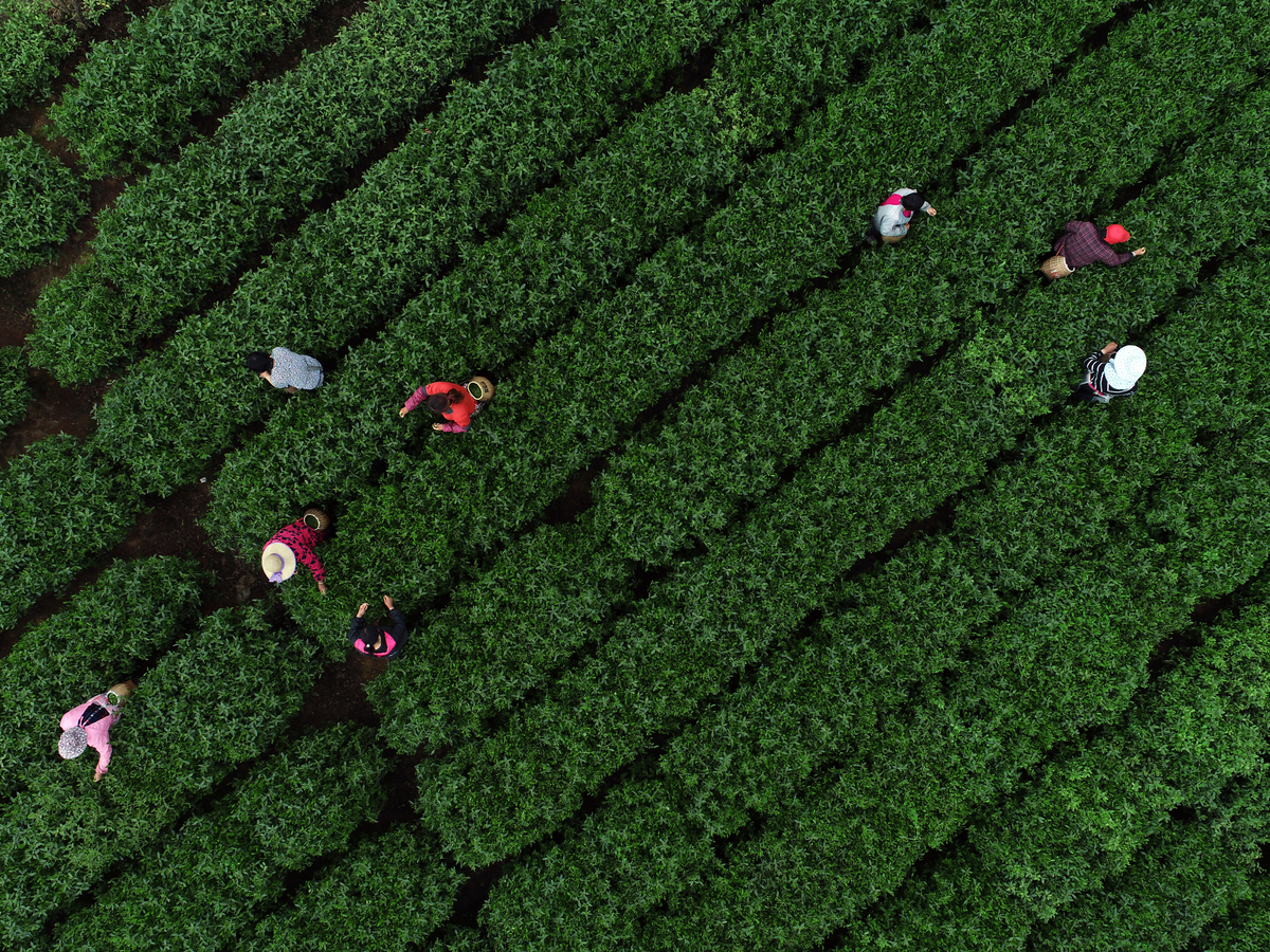 Landesa receives $20 million gift from author and philanthropist MacKenzie Scott