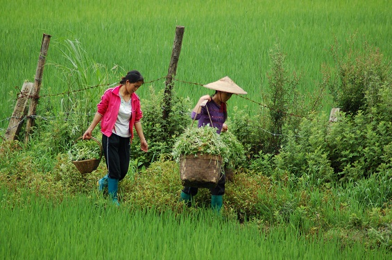 Single_mother_dreaming of land