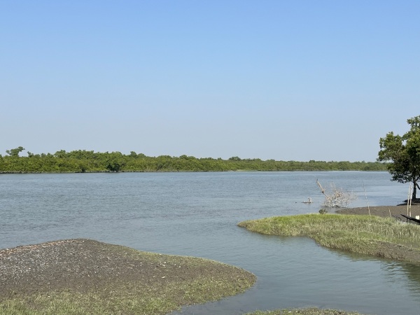 From Challenge to Change Image