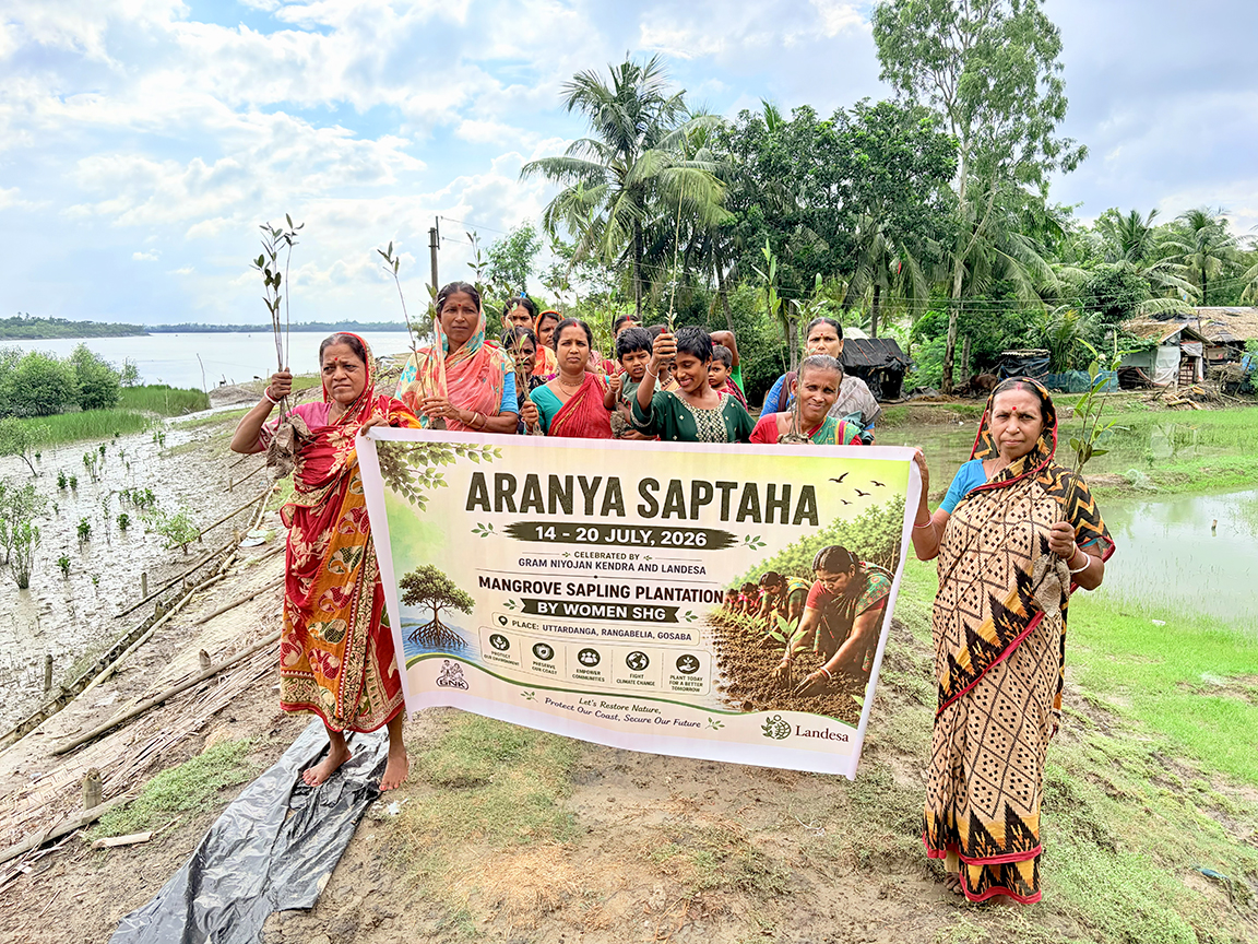 Rooted in Mangroves, Rising Together: Women’s Collective Leads in Mangrove Conservation