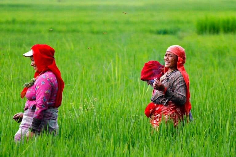 In Nepal, women seek ownership rights to the lands they tend
